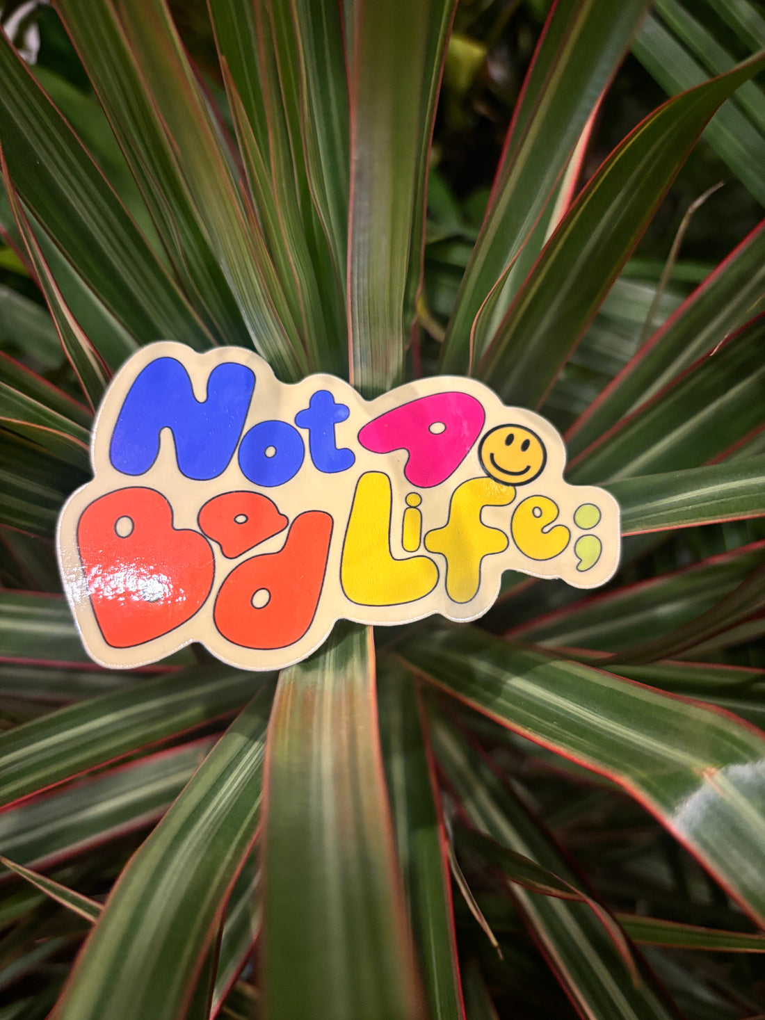 Not A Bad Life Sticker