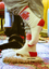 You Deserve Love Crew Socks - NOT A BAD LIFE 💐